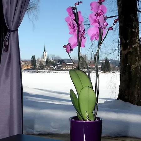 Bella Vista Lipno Frydava